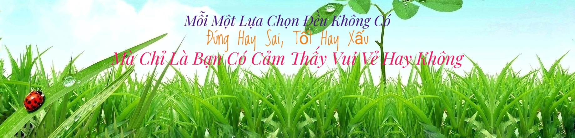 Slider ảnh chính trên cùng bên trái